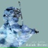 Aslak Brimi