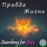 Searching for Love