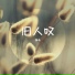 罗伊