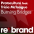 09. Protoculture feat. Tricia McTeague