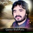Qamar Shahpuria
