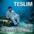Nuri Serinlendirici