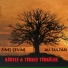 Ali Sultan