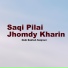 Nabi Bakhsh Sanjrani