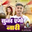 Arya Singh Rajput