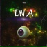savedra