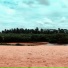 Edden