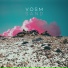 VOSM