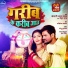 Khesari Lal Yadav, Neha Raj
