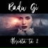 Radu Gi