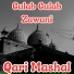 Qari Mashal