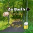 Zé Barth