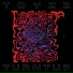 Toyzz