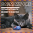 Cat Music Dreams, RelaxMyCat, Cat Music Zone