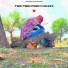 Samrat