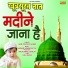 Qari Parvez Qasmi