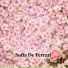 Sofia De Ferrari