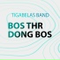 Tigabelas Band