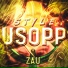 Zau Oficial