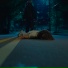 Misregard