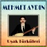 Mehmet Aydın