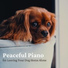 Dog Relaxation