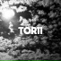 TOR11