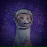 Interstellar Junkie