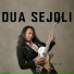 Felix Irwan