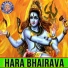 Mangesh Borgaonkar, Vishwajeet Borwankar
