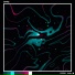 Kuoga. - Inside