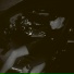 Wh1te.No1r