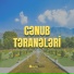Teymur Borçalı