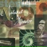 Stevie Wonder