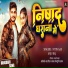 NItin Aar, Anju Raj