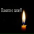 Димс