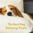 The Dog Relaxer