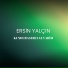 ersin yalçın