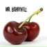 Mr. Berryhill