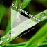 Regengeräusche, Rain Sounds, Nature Sounds