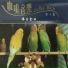 海上轻音乐团