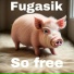 Fugasik
