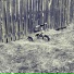 АКсолотль