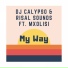 Dj Calypso, Risal Sounds feat. Mxolisi