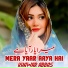 Khawar Abbas