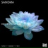 SAMDMA