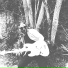 Haga187