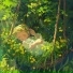 宝宝催眠曲