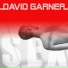 David Garner