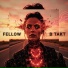 Fellow